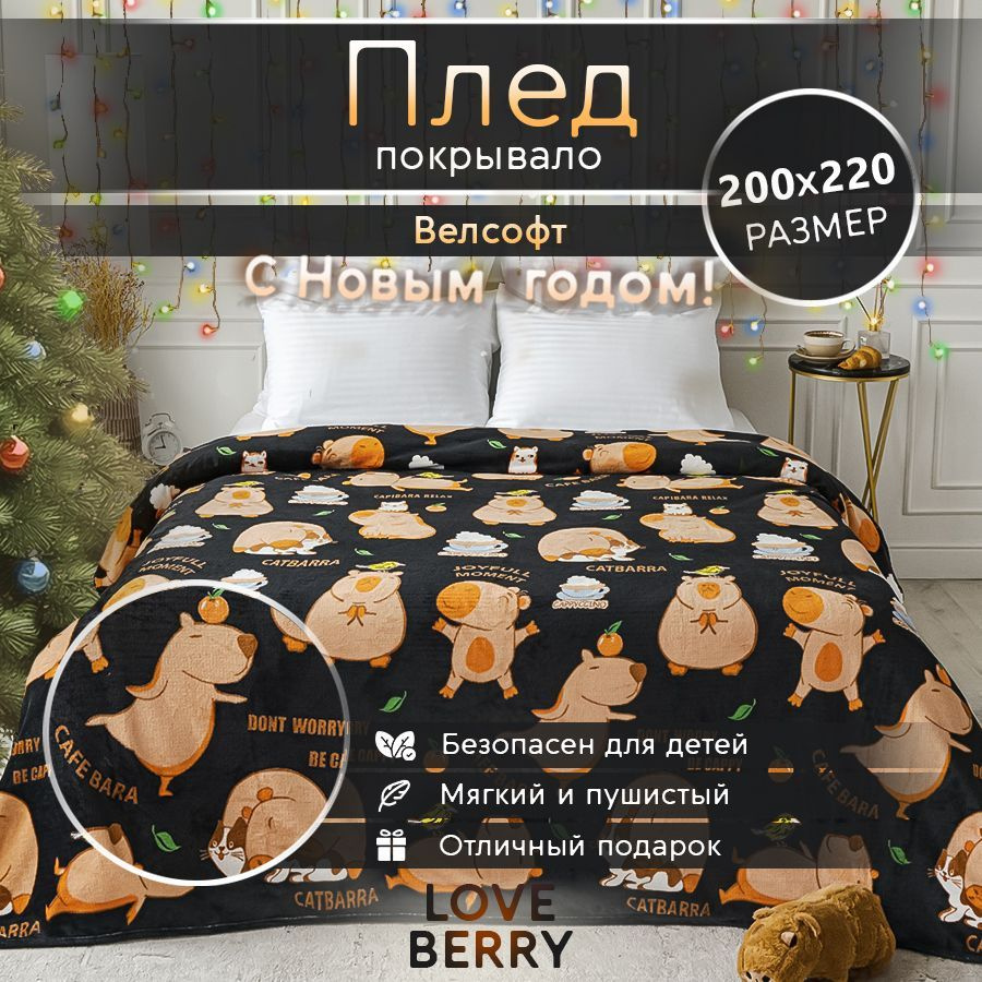 LoveBerry Плед , Велсофт, 200х220 см #1