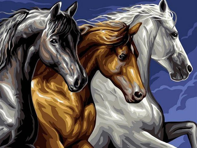 Horse Threesome