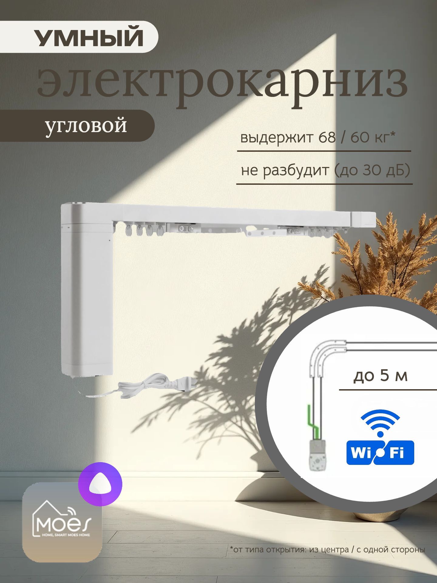 Электрокарнизспультом