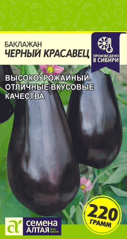 Баклажан "Черный Красавец" семена Алтая для открытого грунта и теплиц, 0,3 гр  #1