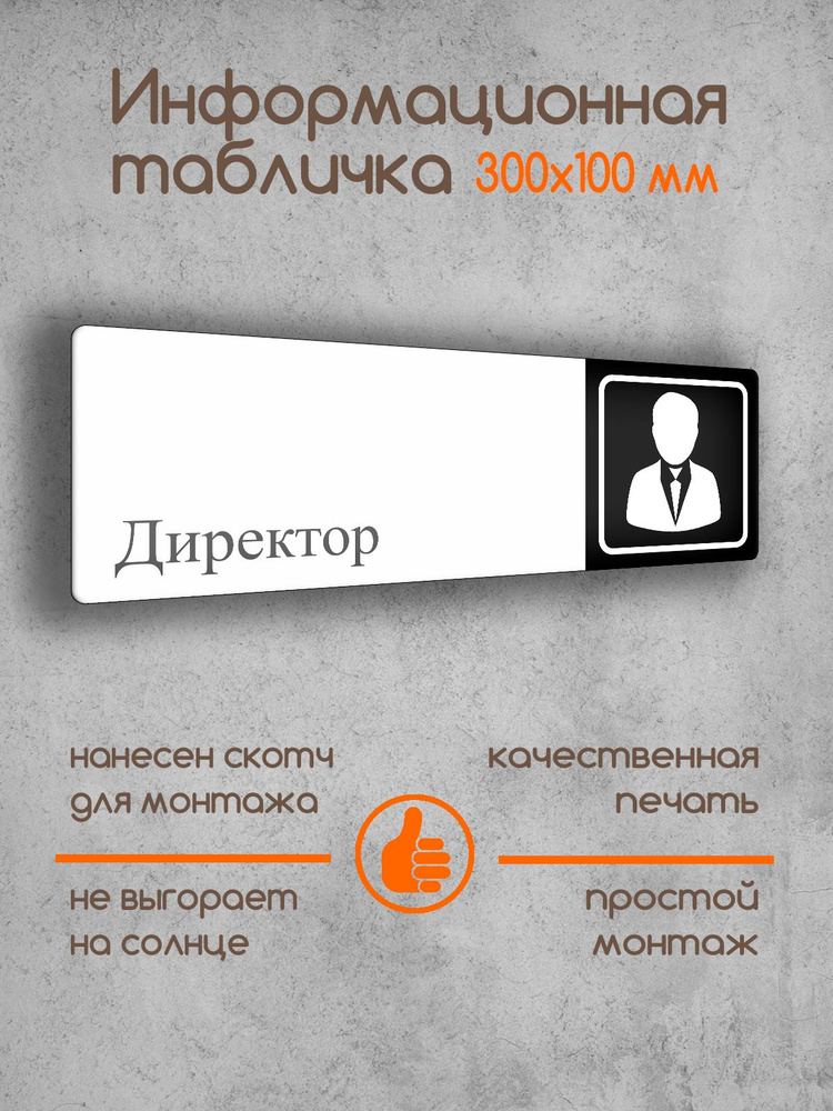 Табличка на дверь информационная "Директор" черно-белая 300х100х2 мм  #1