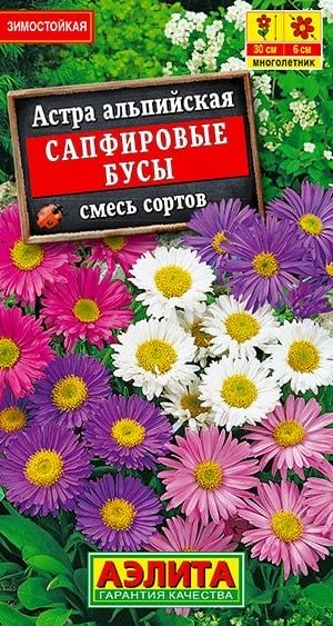 АСТРА АЛЬПИЙСКАЯ САПФИРОВЫЕ БУСЫ. Семена. Вес. Неприхотливый, травянистый многолетник  #1