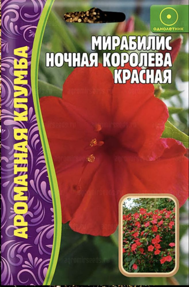 Мирабилис Ночная Королева Красная, 1 пакет, семена 14 шт, ЧК  #1