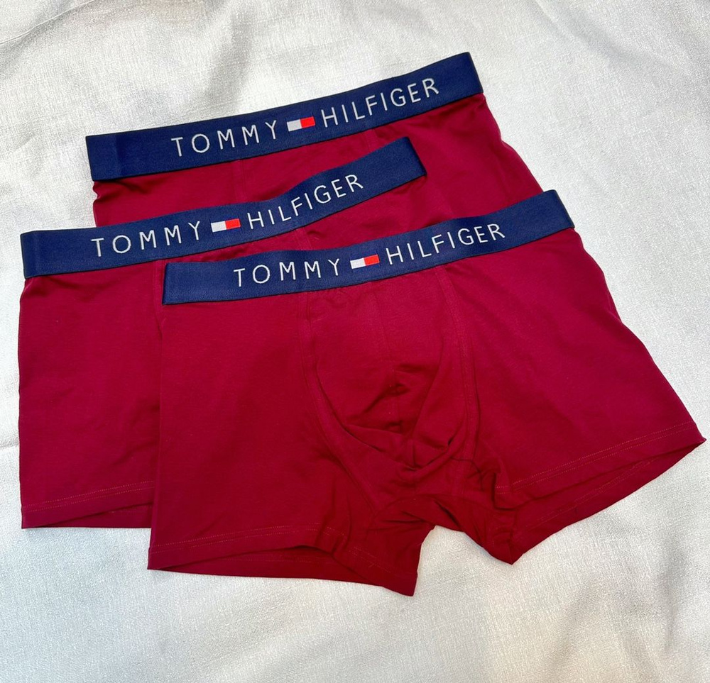 Трусы брифы Tommy Hilfiger, 3 шт #1