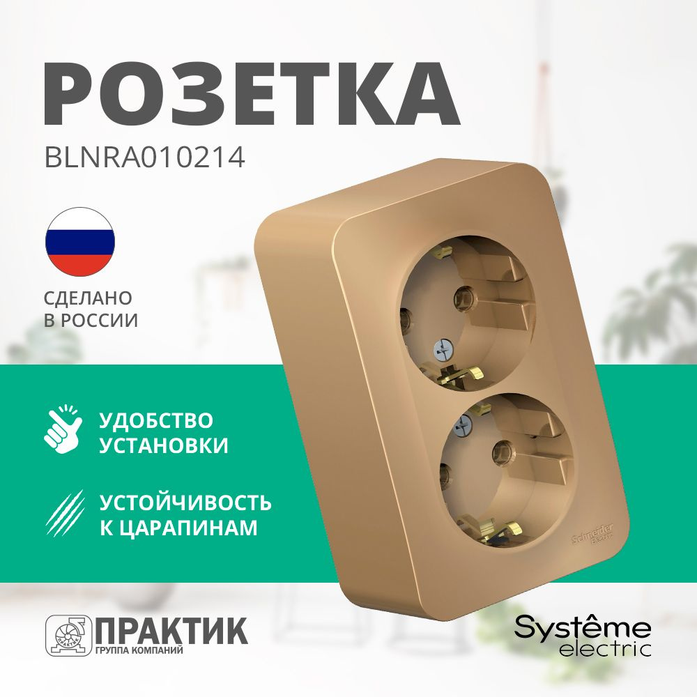 Розетка двойная Blanca Systeme Electric с заземлением без шторок для открытой проводки Титан BLNRA010214 #1