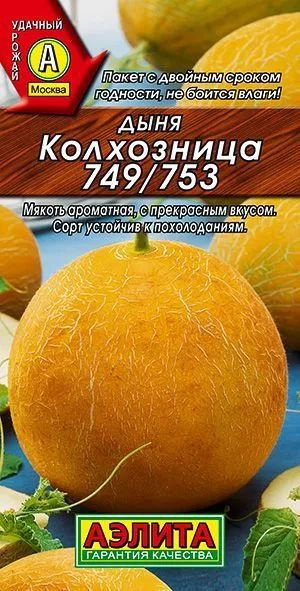 Семена Дыня Колхозница 749/753 (15 семян) - Агрофирма Аэлита #1