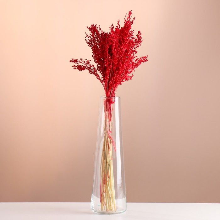 Сухоцветы для декора "Просо" банч длина 45 (+/- 6 см) красный  #1