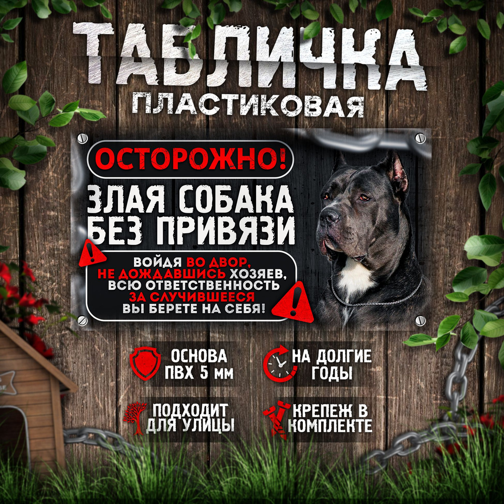 Табличка, на забор, DANGER DOG, Осторожно! Во дворе собака без привязи, Кане корсо, 25x14 см  #1