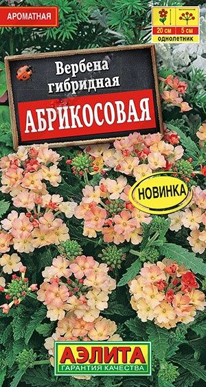 Семена Вербена Абрикосовая (10 семян) - Агрофирма Аэлита #1