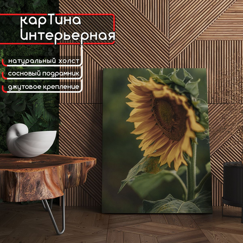 Картина интерьерная на холсте, вертикальная - Подсолнух вблизи 45x60 см  #1