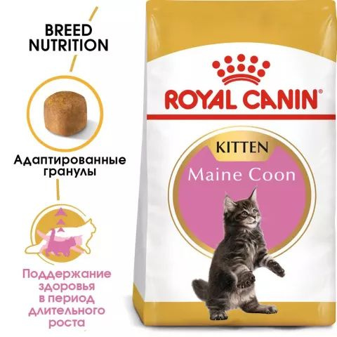 Royal Canin Kitten Maine Coon корм для котят породы мейн-кун в возрасте до 15 месяцев 400 г  #1