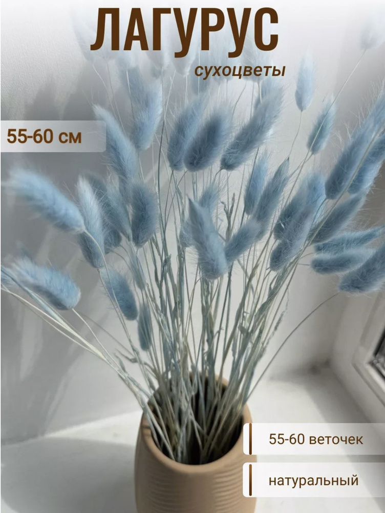 CRISPA FLOWERS Сухоцветы Лагурус, 60 см, 55 шт #1