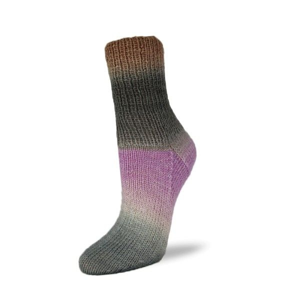 Носочная пряжа Rellana Flotte Socke Patagonia Shadow (1725) #1