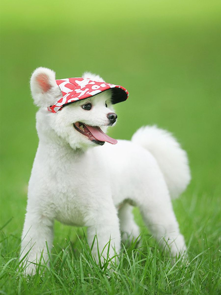 Кепка для собак Arnydog "Буквы" красно-белая, L (13,5 см) #1