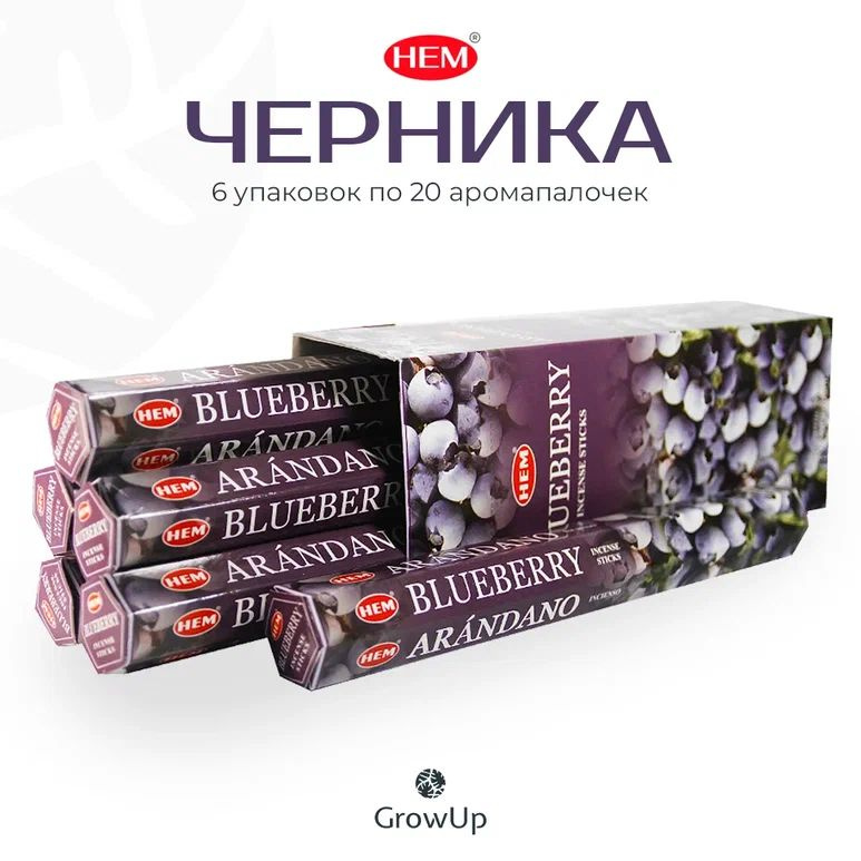 HEM Черника - 6 упаковок по 20 шт - ароматические благовония, палочки, Blueberry - Hexa ХЕМ  #1