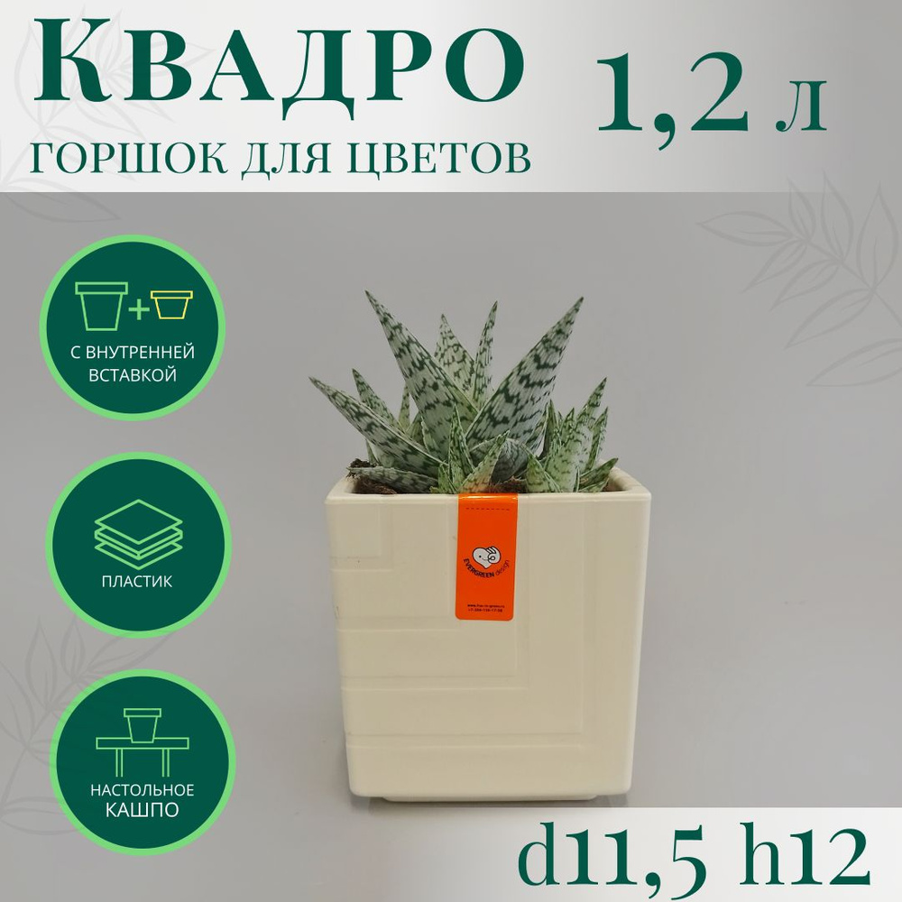 Горшок для цветов Квадро 1,2 л; 12 х 11,5 х 11,5см, ванильный #1