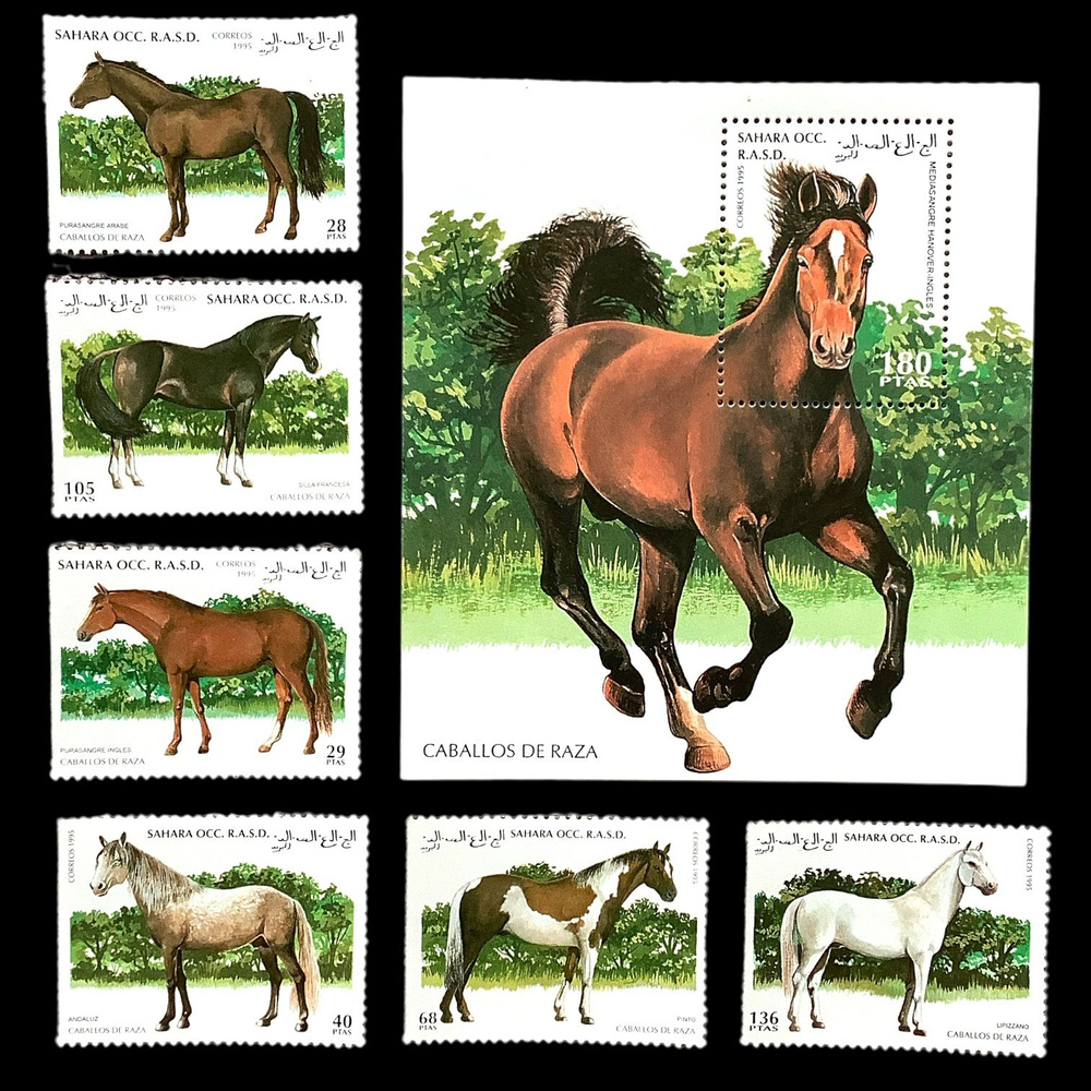 Набор почтовых марок Сахара "Фауна. Лошади. Кони", 7 штук, 1995 года, без гашения  #1