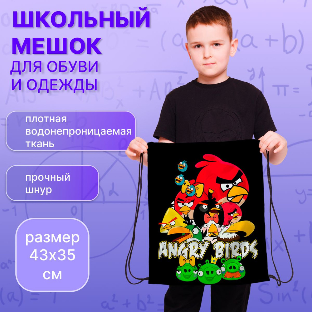 Мешок для обуви Angry Birds #1