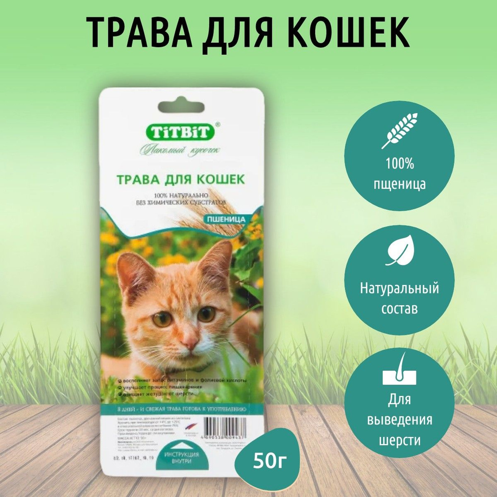 Трава для кошек пшеница TiTBiT 50 г. ТитБит #1