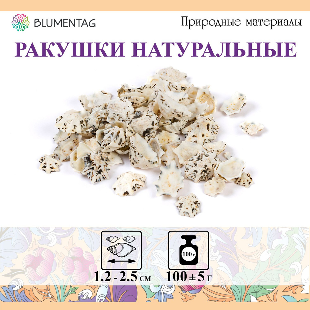 Ракушки морские "Blumentag" DRF-011 100 г 5 г 2.5 см Patella Sacharina #1