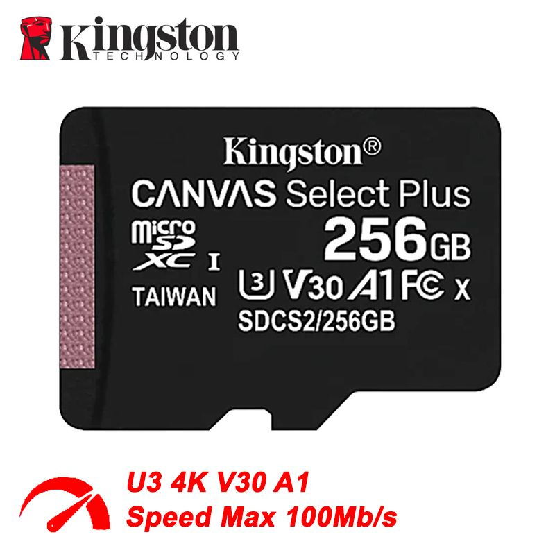 Kingston Карта памяти Canvas Select Plus 256 ГБ (SDCS2/256GB) #1