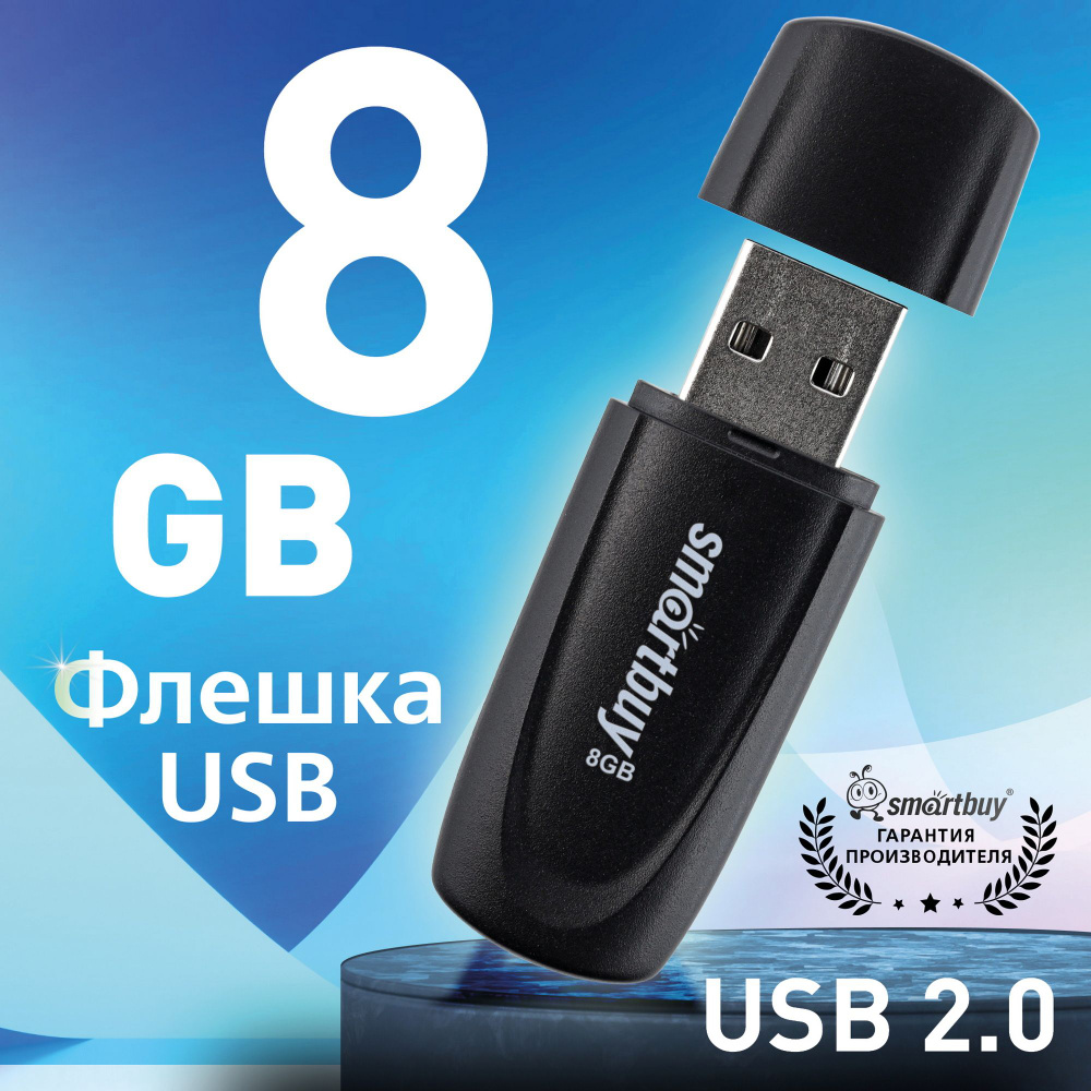 Флешка USB 2.0 SmartBuy 008GB Scout, черный #1