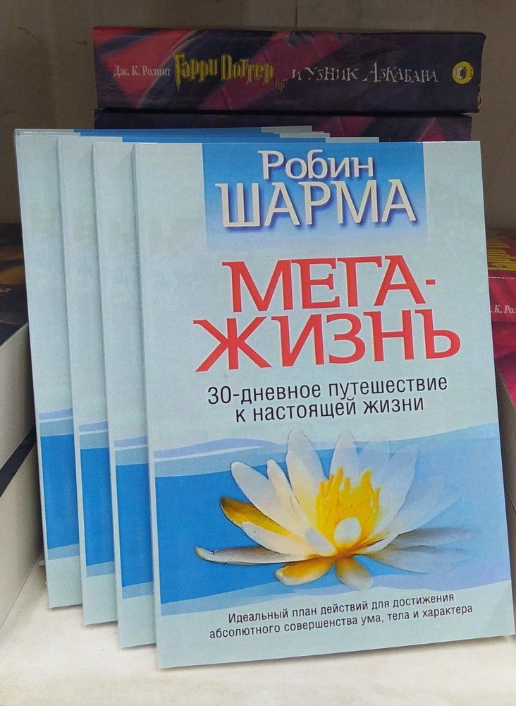 Робин Шарма: Мега Жизнь. 30-дневное путешествие к настоящей жизни | Шарма Робин  #1