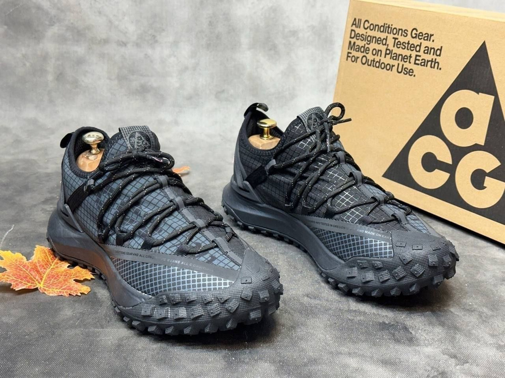 Кроссовки Nike ACG Mountain Fly #1