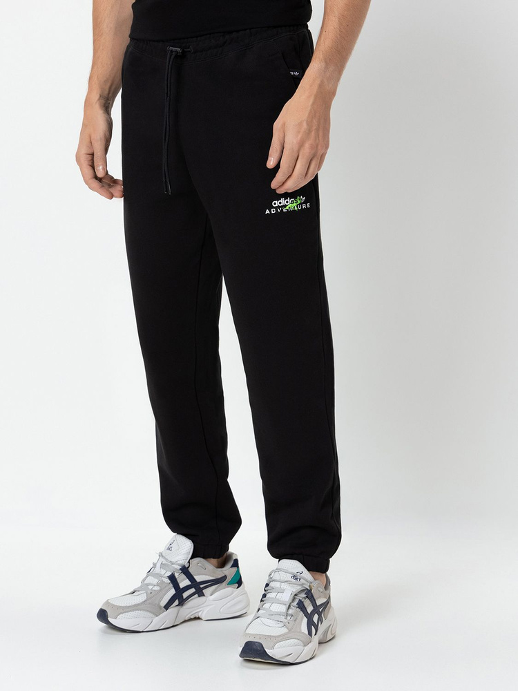 Брюки спортивные adidas Originals Adv Sweatpants #1