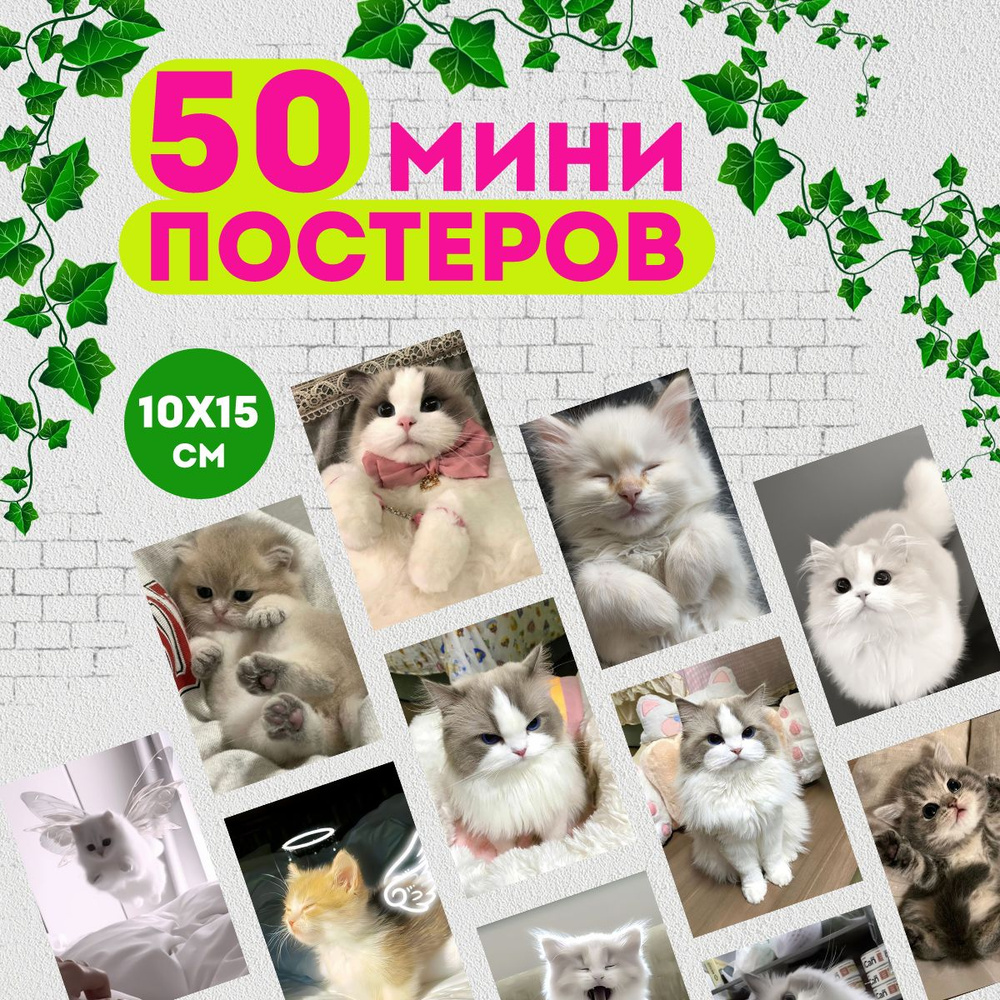 Набор мини постеров Милые котики, 50 штук #1