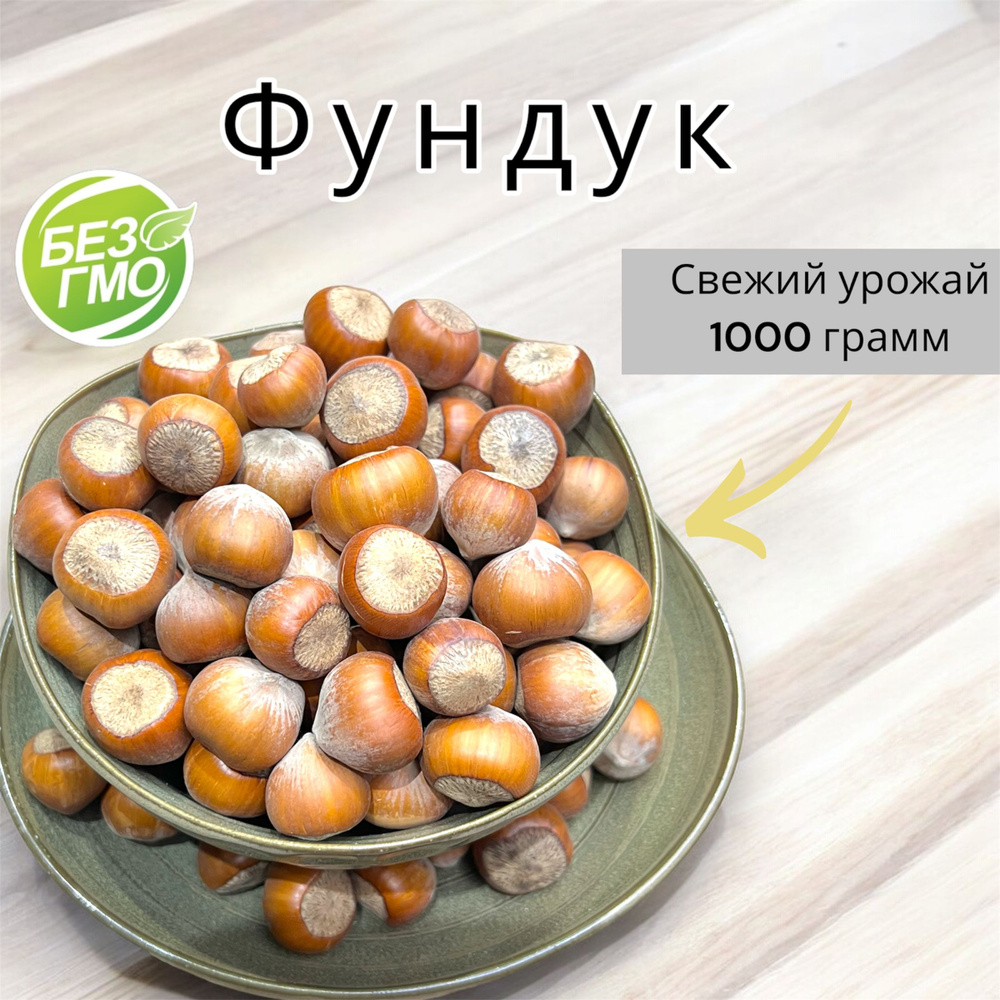 Фундук неочищенный (в скорлупе), 1кг сырой, 100% натуральный  #1