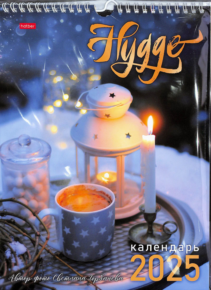 Календарь на 2025 год Hygge, настенный на спирали, размер 22*30 см  #1