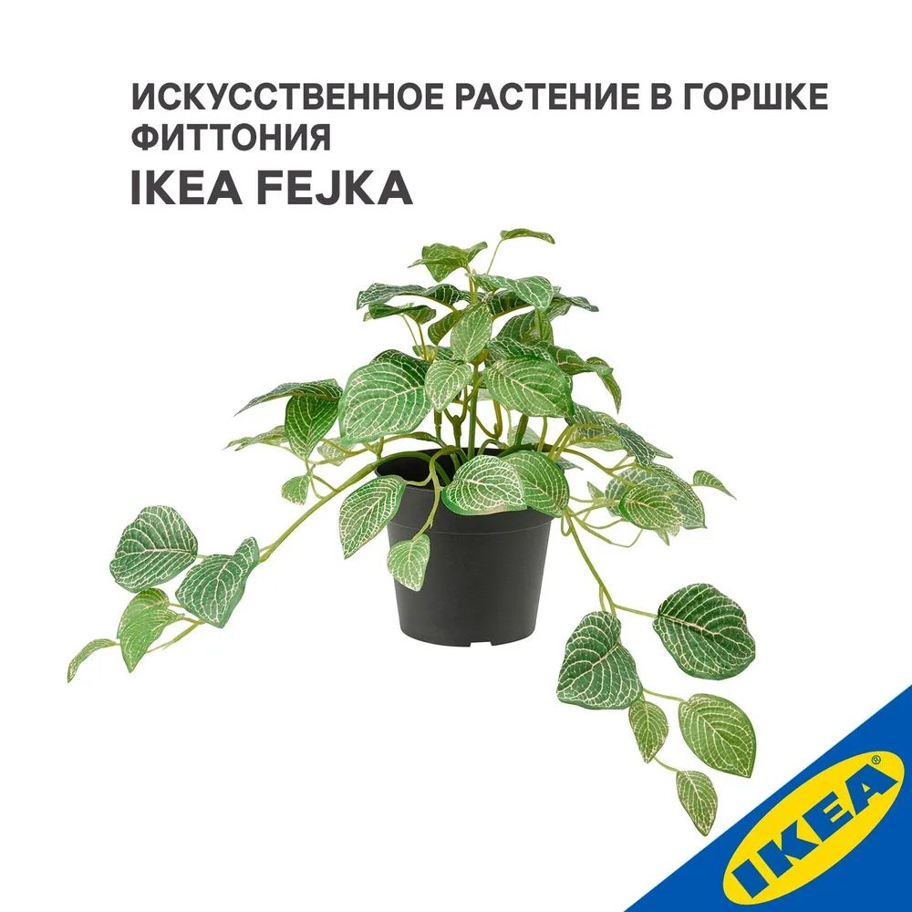 Искусственное растение в горшке IKEA FEJKA ФЕЙКА Фиттония, 9 см горшок подвесной, зелeный  #1