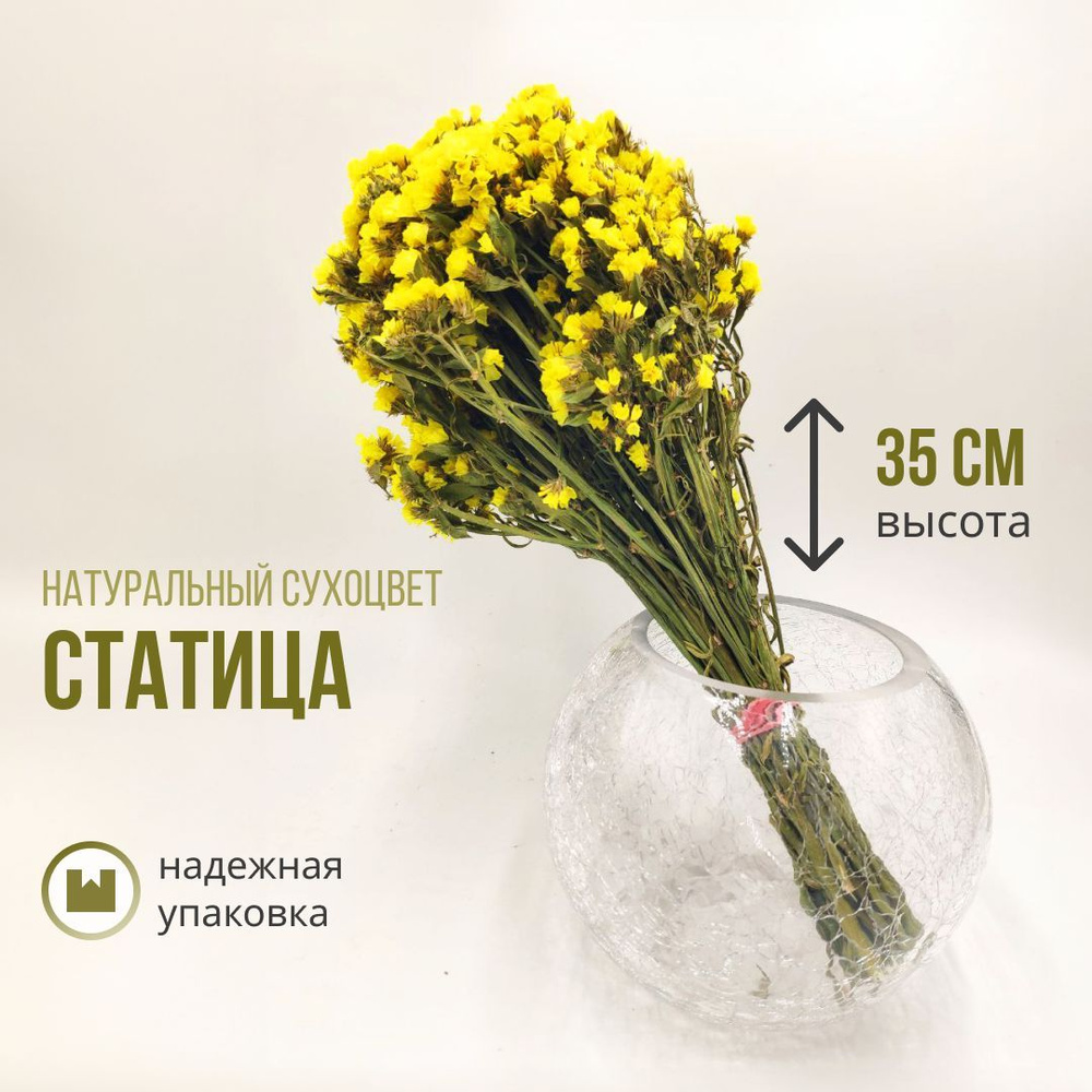 Статица (Statice sinuata) букет из сухоцветов желтая 60 грамм , 35 см высота  #1