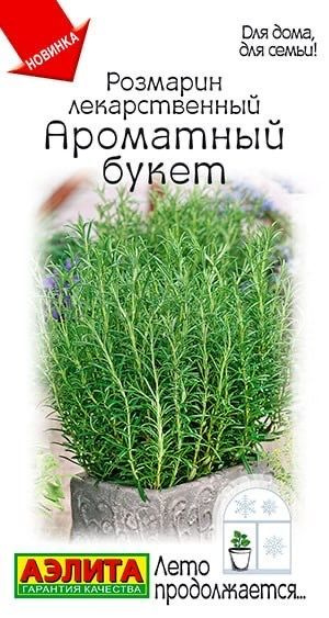 РОЗМАРИН АРОМАТНЫЙ БУКЕТ. Семена. Многолетник, который прекрасно перезимует дома в горшечной культуре. #1