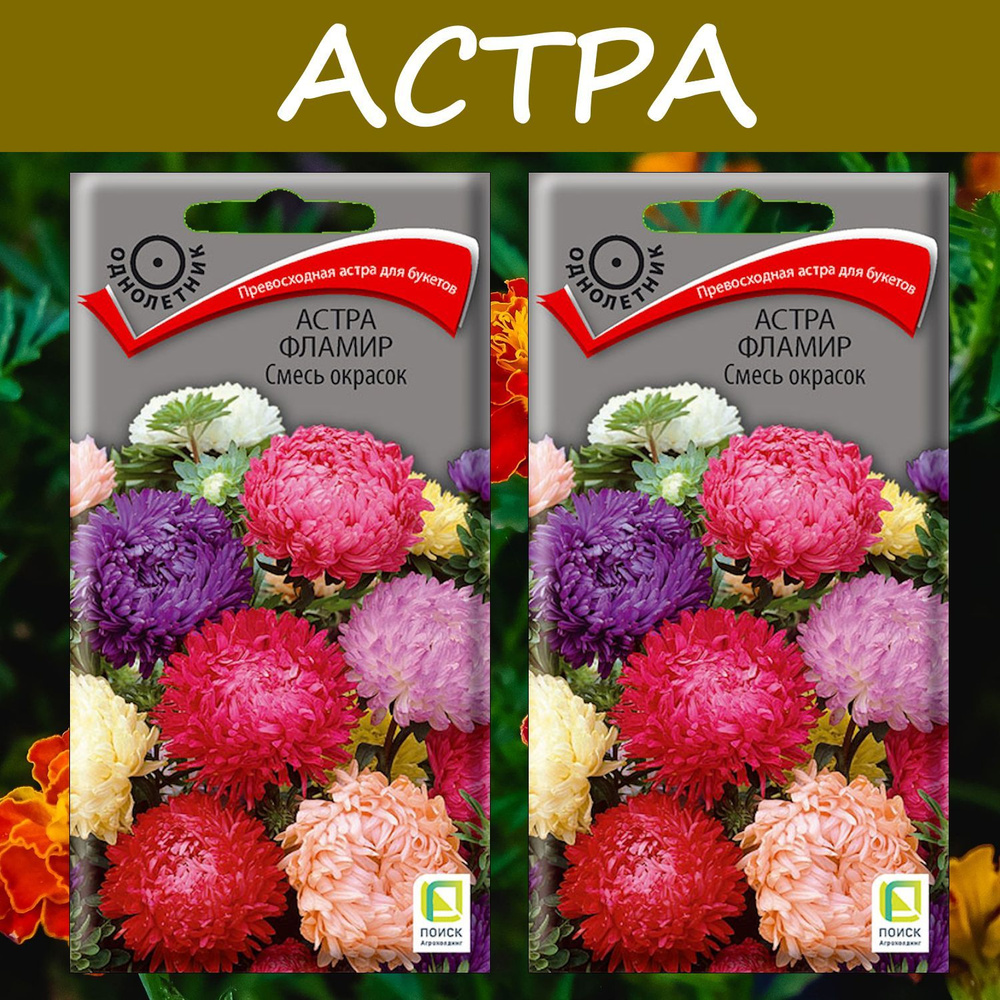 Астра Фламир Смесь окрасок, 2 упаковки, "Превосходная смесь для букетов"  #1