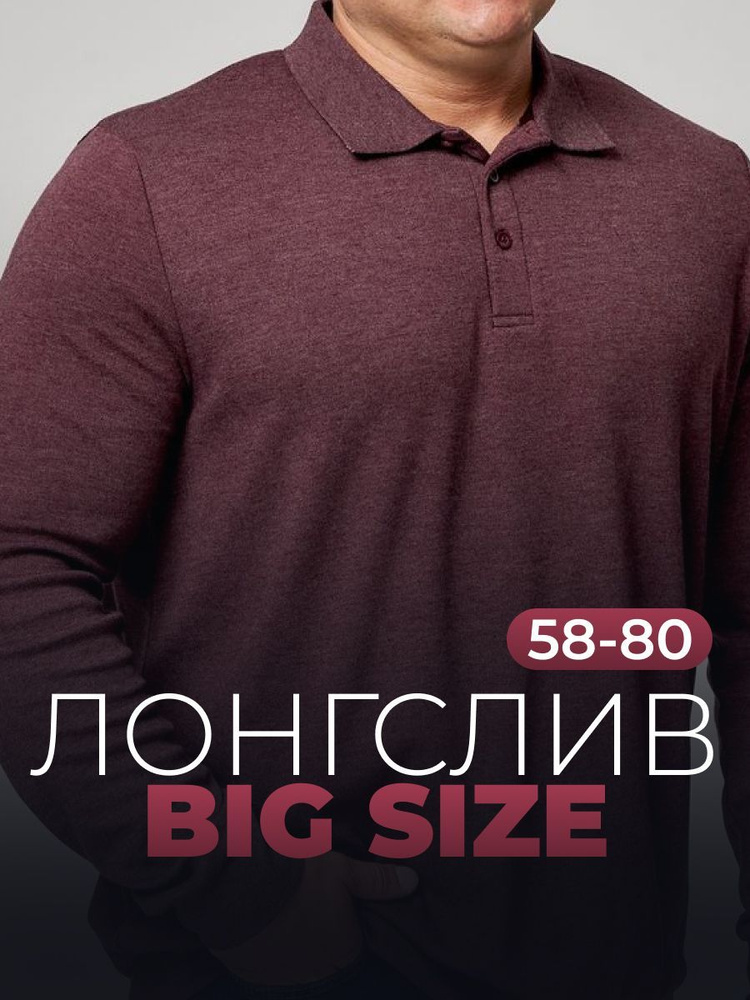 Лонгслив MR. BIGMAN большие размеры 58-80 #1