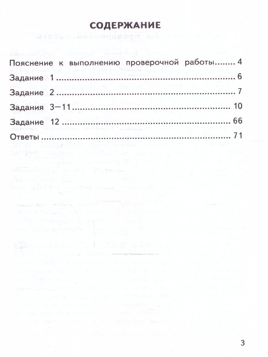 ВПР Русский язык 3 класс. Тренажер для подготовки. ФГОС Новый | Russian Language. 3rd Grade. Training Book for Preparation. New FGS - Ozon image 1