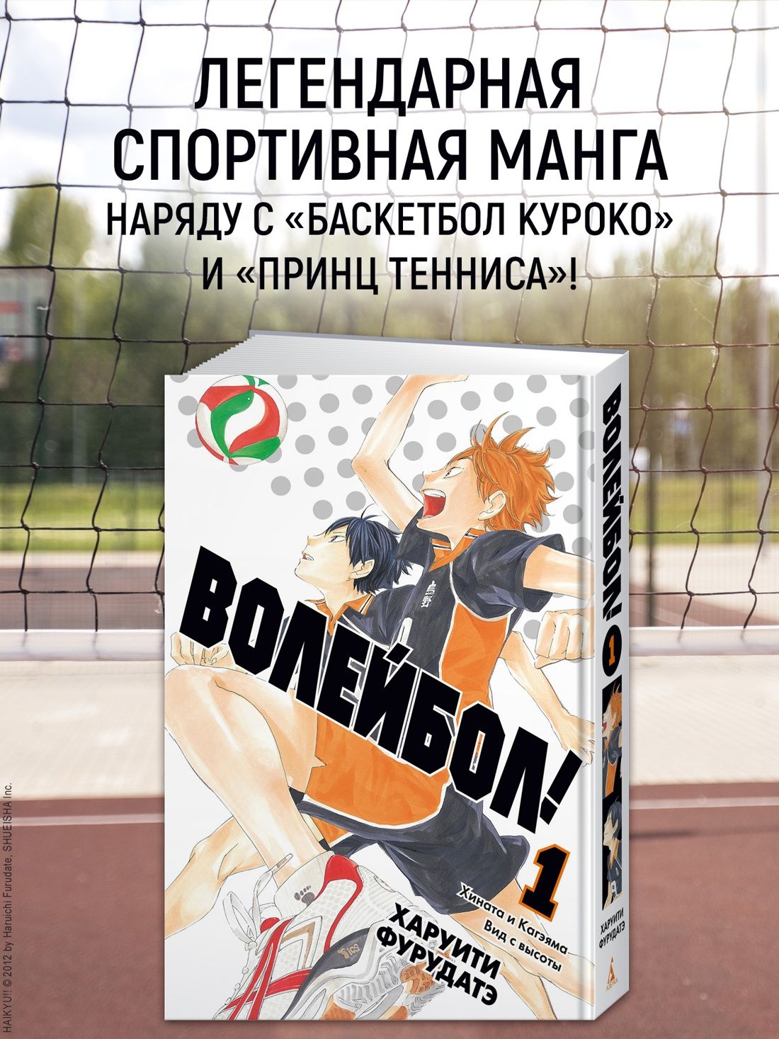 Волейбол! Книга 1. Хината и Кагэяма. Вид с высоты | Haikyu!!, Vol. 1: Hinata and Kageyama - Ozon image 1
