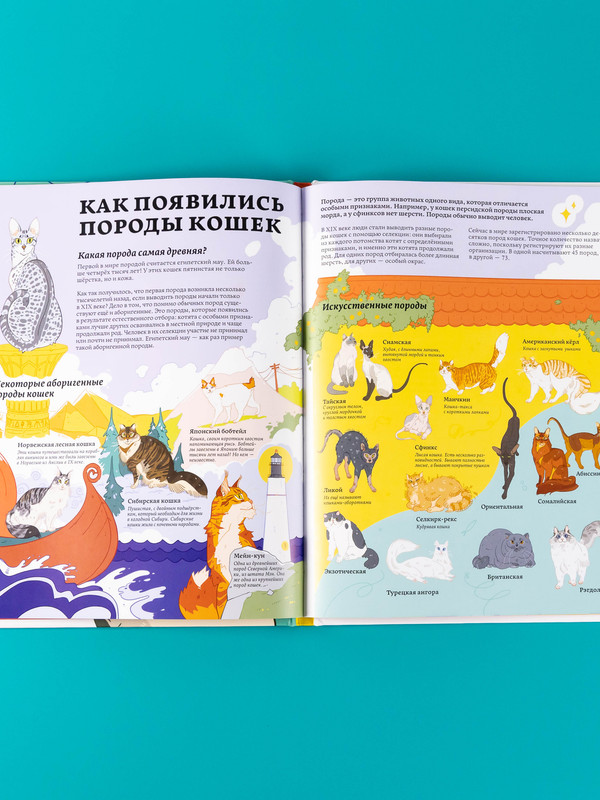 Секреты кошек / Энциклопедия про животных для детей / Домашние животные | Cat Secrets: An Encyclopedia of Animals for Kids: Pets - Ozon image 5