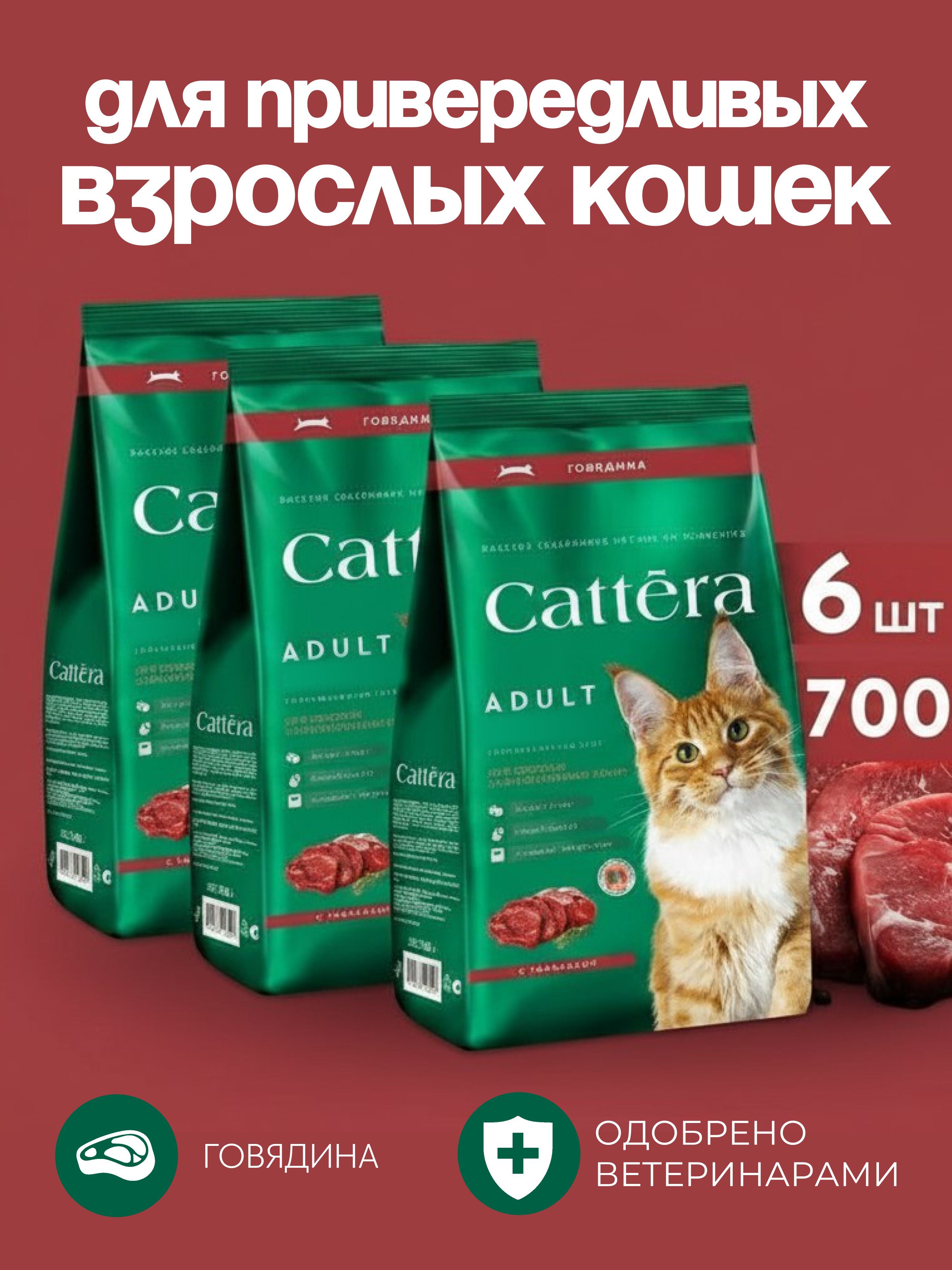 КормдлякошексухойCATTERAполнорационныйдлявзрослыхкошексговядиной,700гр,6шт