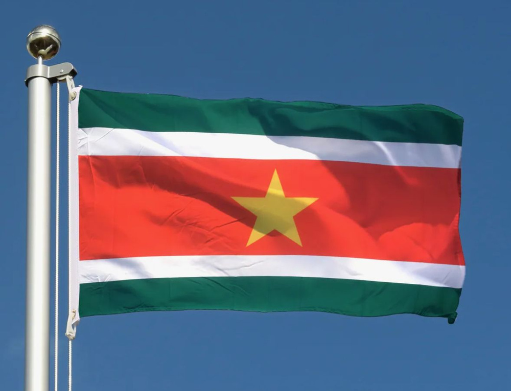 Двусторонний флаг Суринама 40х60 см на лодку, катер или яхту с люверсами  #1