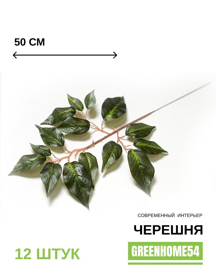 GreenHome54 Ветка, шишка декоративная,12шт #1