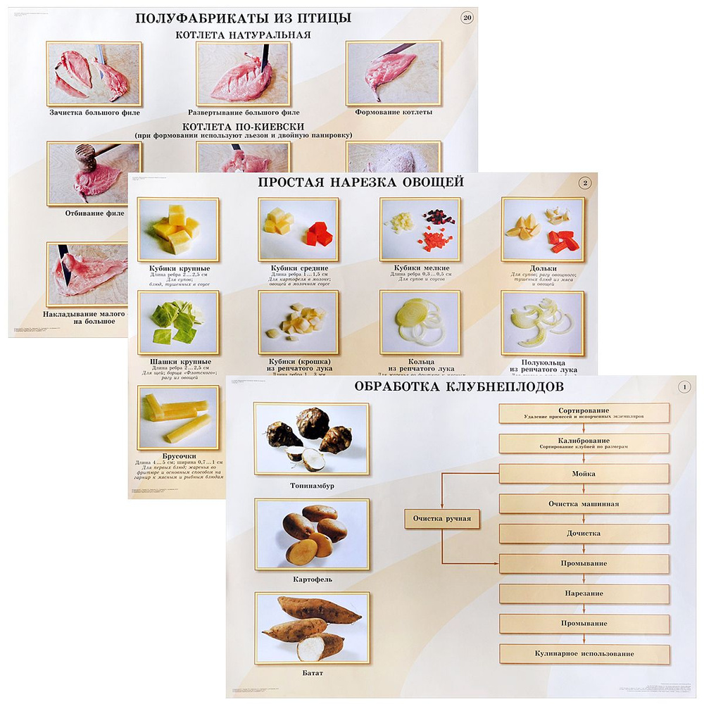 Кулинария. Механическая кулинарная обработка продуктов (20 плакатов) | Андросов Виктор Петрович  #1