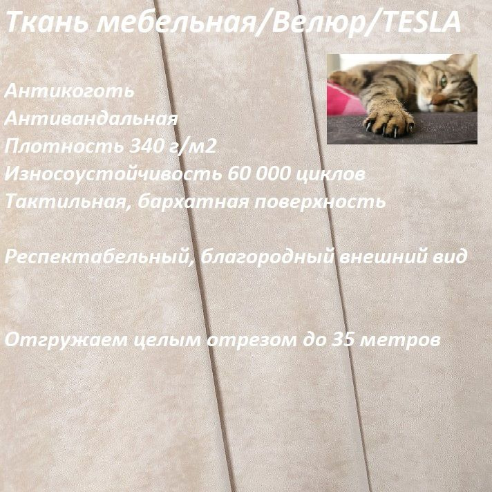 ОТРЕЗ 2 МЕТРА Ткань мебельная, велюр, обивочная, антикоготь TESLA_02 сетло-бежевый  #1