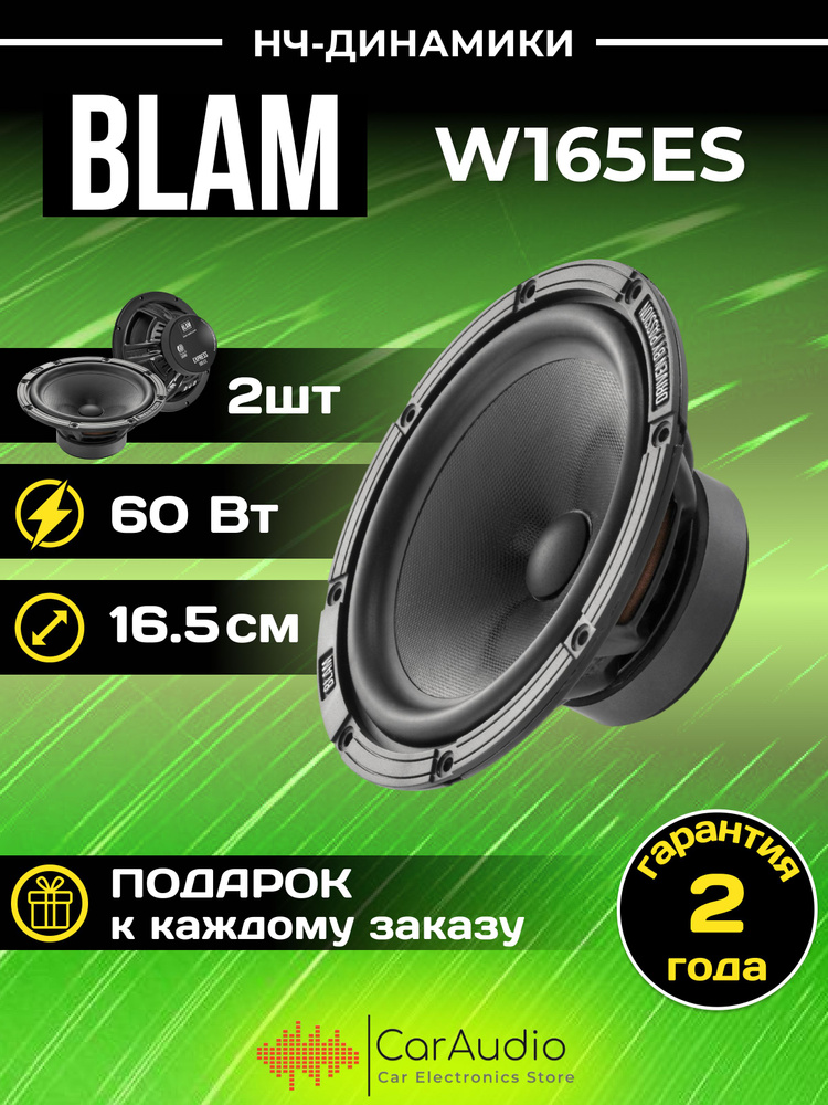 Акустическая система BLAM W165 ES мидбас 16,5 см./комплект 2шт. #1