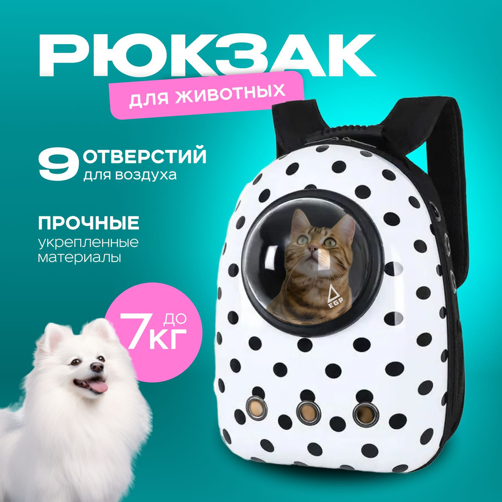 Рюкзак-переноска для мелких животных с иллюминатором / Черно-белый  #1