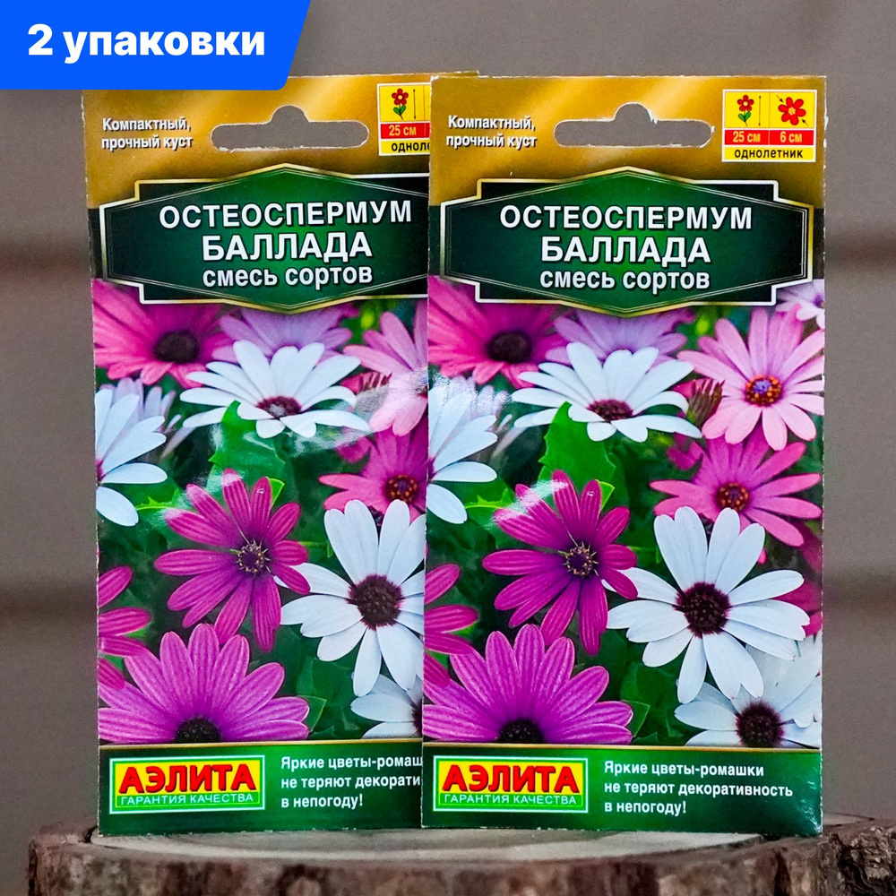 Остеоспермум семена Баллада смесь сортов - 2 упаковки, цветы подходят для выращивания в горшках и кашпо #1