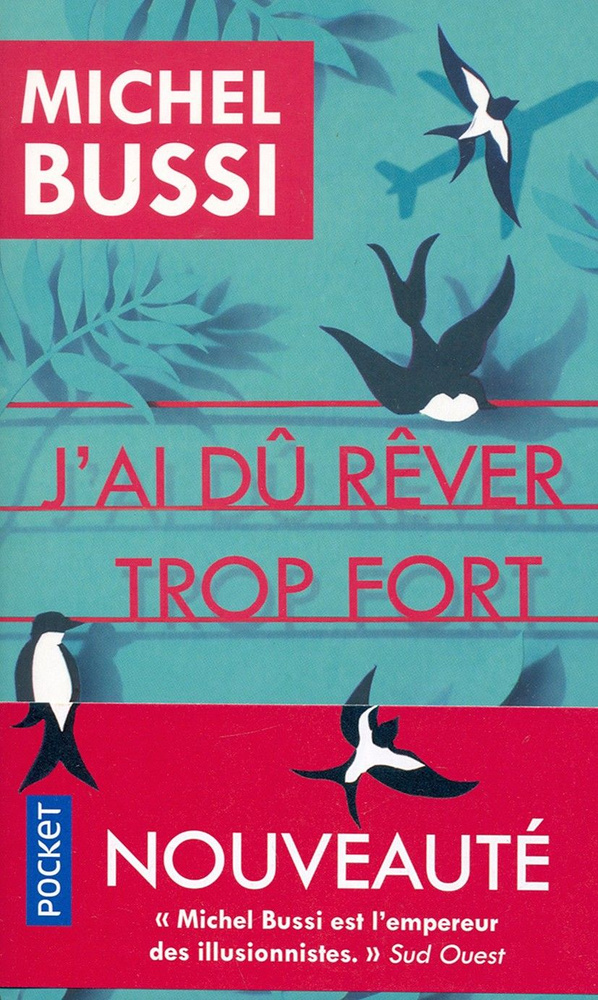 Jai du rever trop fort / Книга на Французском | Bussi Michel #1