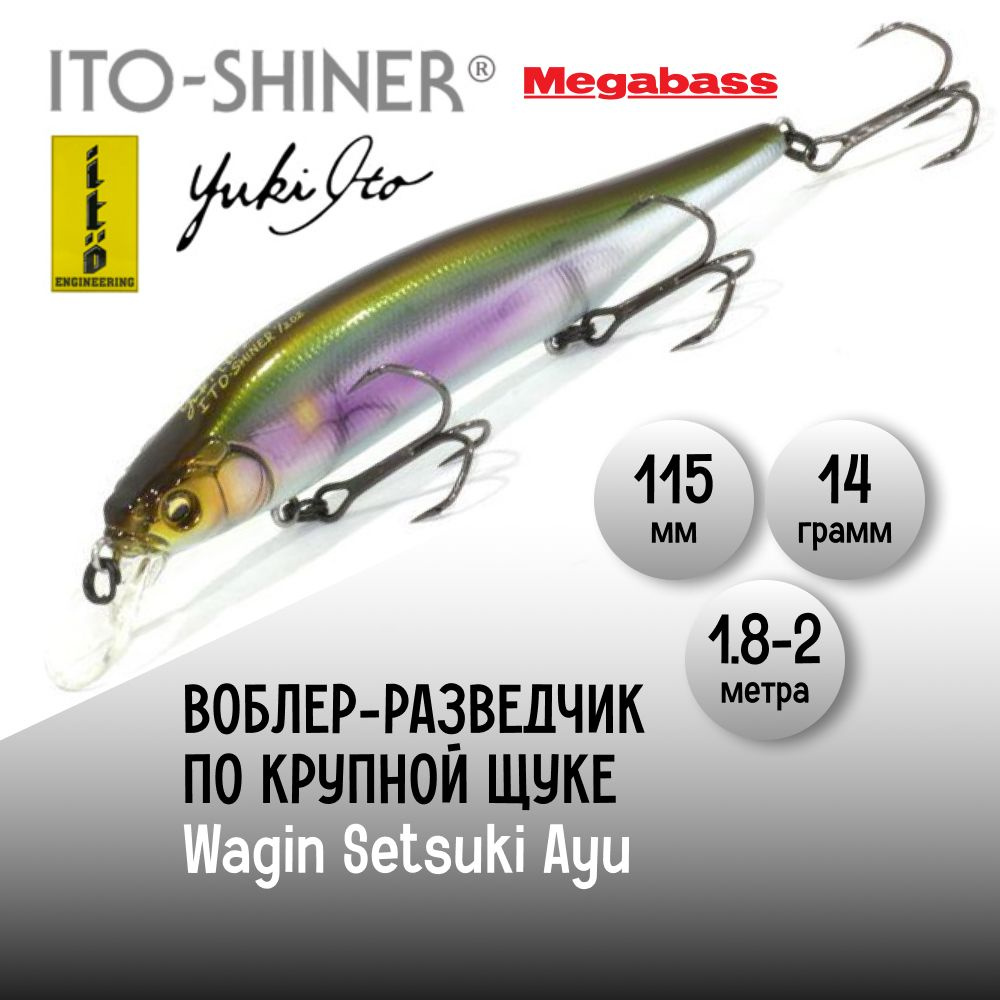 Воблер Megabass Ito Shiner Wagin Setsuki Ayu #1